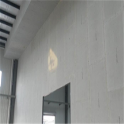 潢川宁波ALC板|EPS加气板隔墙与混凝土整浇联接的实验研讨